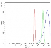 Flow cytometry testing of fixed and permeabilized human SiHa cells with ILPIP antibody at 1ug/million cells (blocked with goat sera); Red=cells alone, Green=isotype control, Blue= ILPIP antibody.
