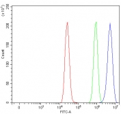 Flow cytometry testing of fixed and permeabilized human MCF7 cells with LDLR antibody at 1ug/million cells (blocked with goat sera); Red=cells alone, Green=isotype control, Blue= LDLR antibody.