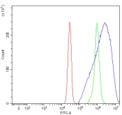 Flow cytometry testing of fixed and permeabilized human SiHa cells with PLET1 antibody at 1ug/million cells (blocked with goat sera); Red=cells alone, Green=isotype control, Blue= PLET1 antibody.