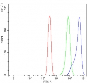 Flow cytometry testing of fixed and permeabilized human SiHa cells with APLP1 antibody at 1ug/million cells (blocked with goat sera); Red=cells alone, Green=isotype control, Blue= APLP1 antibody.