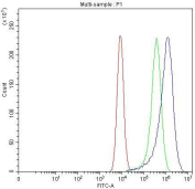 Flow cytometry testing of fixed and permeabilized human Caco-2 cells with PRTFDC1 antibody at 1ug/million cells (blocked with goat sera); Red=cells alone, Green=isotype control, Blue= PRTFDC1 antibody.