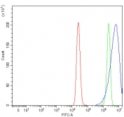 Flow cytometry testing of fixed and permeabilized human MCF7 cells with Biliverdin reductase B antibody at 1ug/million cells (blocked with goat sera); Red=cells alone, Green=isotype control, Blue= Biliverdin reductase B antibody.
