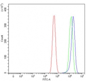 Flow cytometry testing of fixed and permeabilized human U-87 MG cells with NDUFA8 antibody at 1ug/million cells (blocked with goat sera); Red=cells alone, Green=isotype control, Blue= NDUFA8 antibody.