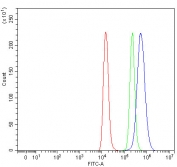 Flow cytometry testing of fixed and permeabilized human Raji cells with PSMC4 antibody at 1ug/million cells (blocked with goat sera); Red=cells alone, Green=isotype control, Blue= PSMC4 antibody.