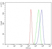Flow cytometry testing of fixed and permeabilized human MCF7 cells with Twinfilin 1 antibody at 1ug/million cells (blocked with goat sera); Red=cells alone, Green=isotype control, Blue= Twinfilin 1 antibody.