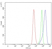 Flow cytometry testing of fixed and permeabilized human HeLa cells with VDAC1 antibody at 1ug/million cells (blocked with goat sera); Red=cells alone, Green=isotype control, Blue= VDAC1 antibody.