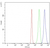 Flow cytometry testing of fixed and permeabilized human HepG2 cells with PRDM2 antibody at 1ug/million cells (blocked with goat sera); Red=cells alone, Green=isotype control, Blue= PRDM2 antibody.