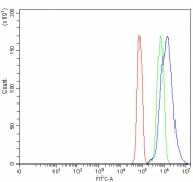 Flow cytometry testing of fixed and permeabilized human JK cells with TTC9 antibody at 1ug/million cells (blocked with goat sera); Red=cells alone, Green=isotype control, Blue= TTC9 antibody.