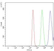 Flow cytometry testing of fixed and permeabilized human 293T cells with Cyp60 antibody at 1ug/million cells (blocked with goat sera); Red=cells alone, Green=isotype control, Blue= Cyp60 antibody.
