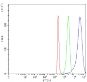Flow cytometry testing of fixed and permeabilized human 293T cells with NARF antibody at 1ug/million cells (blocked with goat sera); Red=cells alone, Green=isotype control, Blue= NARF antibody.