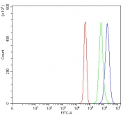 Flow cytometry testing of fixed and permeabilized human JK cells with Phosphoserine aminotransferase antibody at 1ug/million cells (blocked with goat sera); Red=cells alone, Green=isotype control, Blue= Phosphoserine aminotransferase antibody.