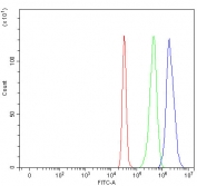 Flow cytometry testing of fixed and permeabilized human HepG2 cells with PRMT7 antibody at 1ug/million cells (blocked with goat sera); Red=cells alone, Green=isotype control, Blue= PRMT7 antibody.