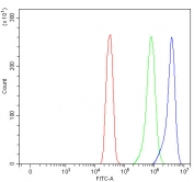 Flow cytometry testing of fixed and permeabilized human SiHa cells with PBLD antibody at 1ug/million cells (blocked with goat sera); Red=cells alone, Green=isotype control, Blue= PBLD antibody.