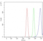 Flow cytometry testing of fixed and permeabilized human U-251 cells with Neuralized-like protein 4 antibody at 1ug/million cells (blocked with goat sera); Red=cells alone, Green=isotype control, Blue= Neuralized-like protein 4 antibody.