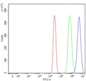 Flow cytometry testing of fixed and permeabilized human 293T cells with Protein phosphatase 1 regulatory subunit 15B antibody at 1ug/million cells (blocked with goat sera); Red=cells alone, Green=isotype control, Blue= Protein phosphatase 1 regulatory subunit 15B antibody.