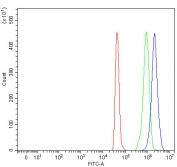 Flow cytometry testing of fixed and permeabilized human SH-SY5Y cells with NEDD1 antibody at 1ug/million cells (blocked with goat sera); Red=cells alone, Green=isotype control, Blue= NEDD1 antibody.