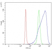 Flow cytometry testing of fixed and permeabilized human SH-SY5Y cells with SCFD2 antibody at 1ug/million cells (blocked with goat sera); Red=cells alone, Green=isotype control, Blue= SCFD2 antibody.