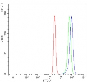 Flow cytometry testing of fixed and permeabilized human HepG2 cells with TTC39B antibody at 1ug/million cells (blocked with goat sera); Red=cells alone, Green=isotype control, Blue= TTC39B antibody.