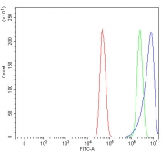 Flow cytometry testing of fixed and permeabilized human U-251 cells with NHLRC2 antibody at 1ug/million cells (blocked with goat sera); Red=cells alone, Green=isotype control, Blue= NHLRC2 antibody.