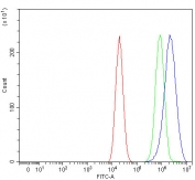 Flow cytometry testing of fixed and permeabilized human Caco-2 cells with NR5A2 antibody at 1ug/million cells (blocked with goat sera); Red=cells alone, Green=isotype control, Blue= NR5A2 antibody.