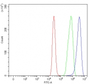 Flow cytometry testing of fixed and permeabilized human MCF7 cells with Acetyl-CoA acetyltransferase antibody at 1ug/million cells (blocked with goat sera); Red=cells alone, Green=isotype control, Blue= Acetyl-CoA acetyltransferase antibody.