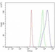 Flow cytometry testing of fixed and permeabilized human 293T cells with TR4 antibody at 1ug/million cells (blocked with goat sera); Red=cells alone, Green=isotype control, Blue= TR4 antibody.