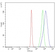 Flow cytometry testing of fixed and permeabilized human 293T cells with NSUN2 antibody at 1ug/million cells (blocked with goat sera); Red=cells alone, Green=isotype control, Blue= NSUN2 antibody.