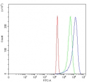 Flow cytometry testing of fixed and permeabilized human 293T cells with MARK3 antibody at 1ug/million cells (blocked with goat sera); Red=cells alone, Green=isotype control, Blue= MARK3 antibody.