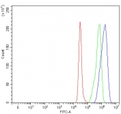 Flow cytometry testing of fixed and permeabilized human A549 cells with NIT2 antibody at 1ug/million cells (blocked with goat sera); Red=cells alone, Green=isotype control, Blue= NIT2 antibody.