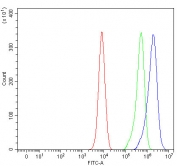 Flow cytometry testing of fixed and permeabilized human K562 cells with NUB1 antibody at 1ug/million cells (blocked with goat sera); Red=cells alone, Green=isotype control, Blue= NUB1 antibody.