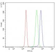 Flow cytometry testing of fixed and permeabilized human HepG2 cells with MGAT2 antibody at 1ug/million cells (blocked with goat sera); Red=cells alone, Green=isotype control, Blue= MGAT2 antibody.