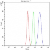 Flow cytometry testing of fixed and permeabilized human 293T cells with NOSIP antibody at 1ug/million cells (blocked with goat sera); Red=cells alone, Green=isotype control, Blue= NOSIP antibody.