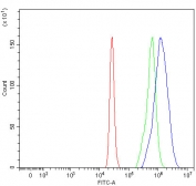 Flow cytometry testing of fixed and permeabilized human 293T cells with NPEPPS antibody at 1ug/million cells (blocked with goat sera); Red=cells alone, Green=isotype control, Blue= NPEPPS antibody.
