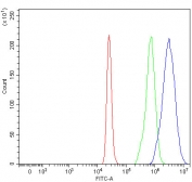Flow cytometry testing of fixed and permeabilized human 293T cells with MED26 antibody at 1ug/million cells (blocked with goat sera); Red=cells alone, Green=isotype control, Blue= MED26 antibody.
