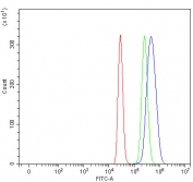 Flow cytometry testing of fixed and permeabilized human HepG2 cells with NRMT antibody at 1ug/million cells (blocked with goat sera); Red=cells alone, Green=isotype control, Blue= NRMT antibody.