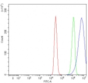 Flow cytometry testing of fixed and permeabilized human MCF7 cells with RUFY1 antibody at 1ug/million cells (blocked with goat sera); Red=cells alone, Green=isotype control, Blue= RUFY1 antibody.