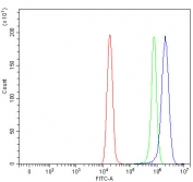 Flow cytometry testing of fixed and permeabilized human HeLa cells with NUP54 antibody at 1ug/million cells (blocked with goat sera); Red=cells alone, Green=isotype control, Blue= NUP54 antibody.