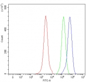 Flow cytometry testing of fixed and permeabilized human JK cells with NEEP21 antibody at 1ug/million cells (blocked with goat sera); Red=cells alone, Green=isotype control, Blue= NEEP21 antibody.