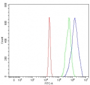 Flow cytometry testing of fixed and permeabilized human 293T cells with MFAP3 antibody at 1ug/million cells (blocked with goat sera); Red=cells alone, Green=isotype control, Blue= MFAP3 antibody.
