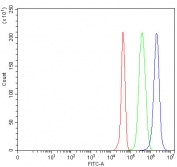 Flow cytometry testing of fixed and permeabilized human JK cells with MYL5 antibody at 1ug/million cells (blocked with goat sera); Red=cells alone, Green=isotype control, Blue= MYL5 antibody.