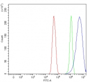 Flow cytometry testing of fixed and permeabilized human U-251 cells with NSUN3 antibody at 1ug/million cells (blocked with goat sera); Red=cells alone, Green=isotype control, Blue= NSUN3 antibody.