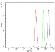 Flow cytometry testing of fixed and permeabilized human U-251 cells with MAGEC3 antibody at 1ug/million cells (blocked with goat sera); Red=cells alone, Green=isotype control, Blue= MAGEC3 antibody.