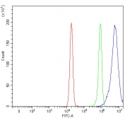 Flow cytometry testing of fixed and permeabilized human HeLa cells with MINDY3 antibody at 1ug/million cells (blocked with goat sera); Red=cells alone, Green=isotype control, Blue= MINDY3 antibody.