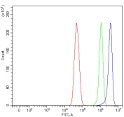 Flow cytometry testing of fixed and permeabilized human U-251 cells with Mitoguardin 1 antibody at 1ug/million cells (blocked with goat sera); Red=cells alone, Green=isotype control, Blue= Mitoguardin 1 antibody.