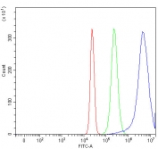 Flow cytometry testing of fixed and permeabilized human HepG2 cells with Ladinin 1 antibody at 1ug/million cells (blocked with goat sera); Red=cells alone, Green=isotype control, Blue= Ladinin 1 antibody.