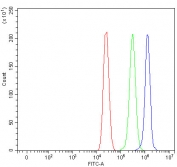 Flow cytometry testing of fixed and permeabilized human MCF7 cells with PP18 antibody at 1ug/million cells (blocked with goat sera); Red=cells alone, Green=isotype control, Blue= PP18 antibody.