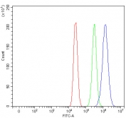 Flow cytometry testing of fixed and permeabilized human MCF7 cells with Insulin-induced gene 1 antibody at 1ug/million cells (blocked with goat sera); Red=cells alone, Green=isotype control, Blue= Insulin-induced gene 1 antibody.