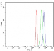 Flow cytometry testing of fixed and permeabilized human JK cells with LRCH4 antibody at 1ug/million cells (blocked with goat sera); Red=cells alone, Green=isotype control, Blue= LRCH4 antibody.