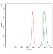 Flow cytometry testing of fixed and permeabilized human K562 cells with PSIP1 antibody at 1ug/million cells (blocked with goat sera); Red=cells alone, Green=isotype control, Blue= PSIP1 antibody.