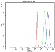 Flow cytometry testing of fixed and permeabilized human HepG2 cells with ATG7 antibody at 1ug/million cells (blocked with goat sera); Red=cells alone, Green=isotype control, Blue= ATG7 antibody.